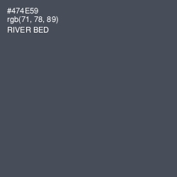#474E59 - River Bed Color Image